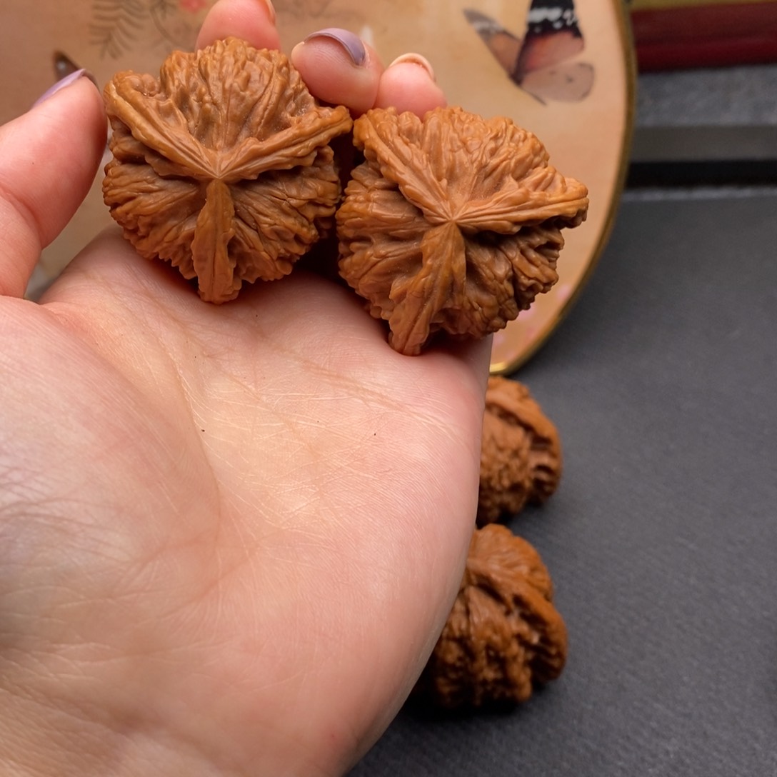 用****1白狮子111111111111