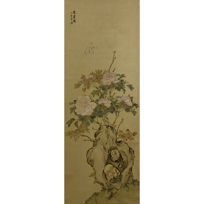 F10 《菊石图》   114x43cm   纸本立轴