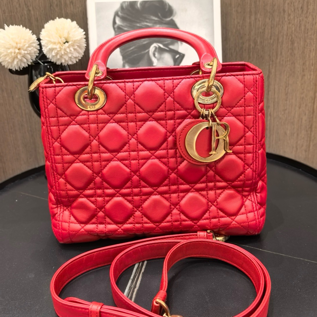 95新 DIOR/迪奥 迪奥五格戴妃单肩包（6208929）