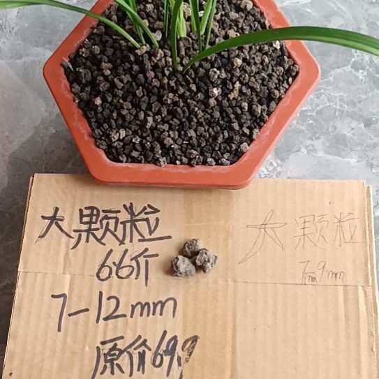 所***得兰菌黑山土大颗粒6.6斤