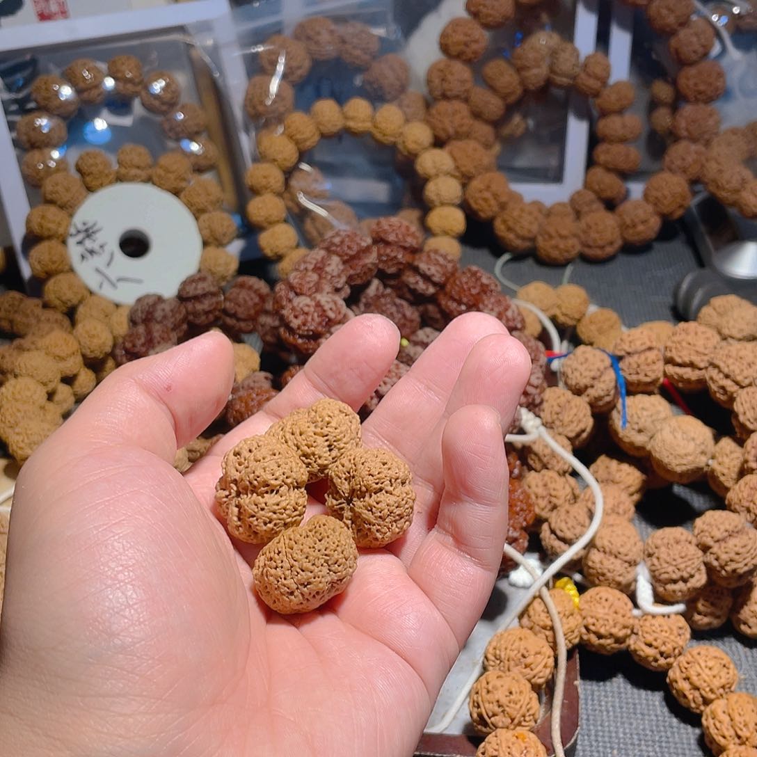 手串金刚菩提列***菜菠萝蜜