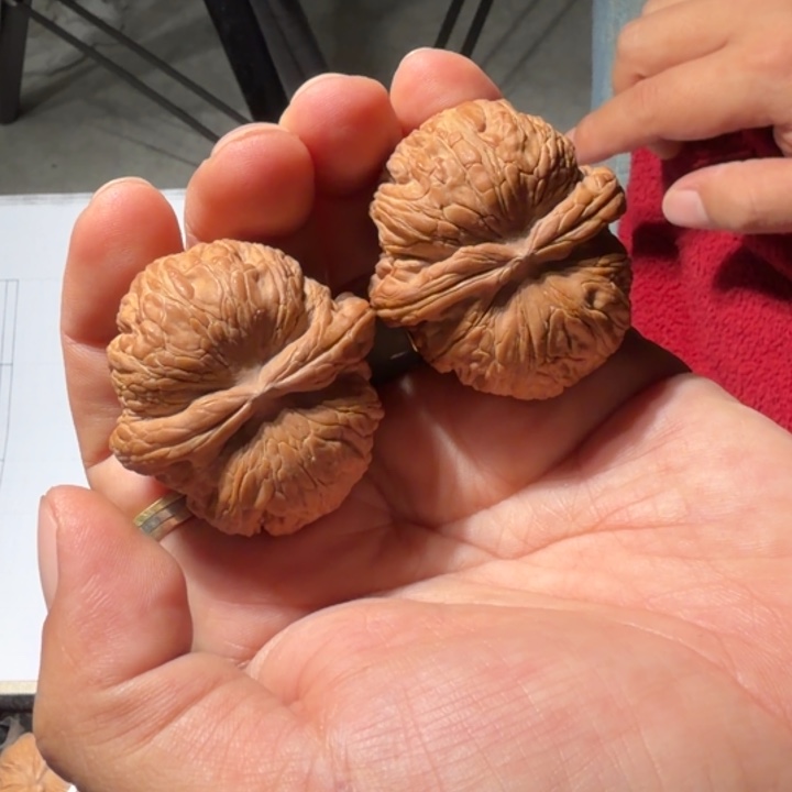 文玩核桃把件509号全品元宝41mm