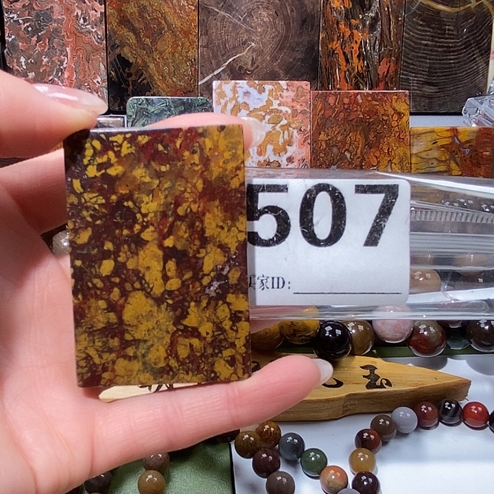 硅化玉未镶嵌天然北票树化玉吊坠