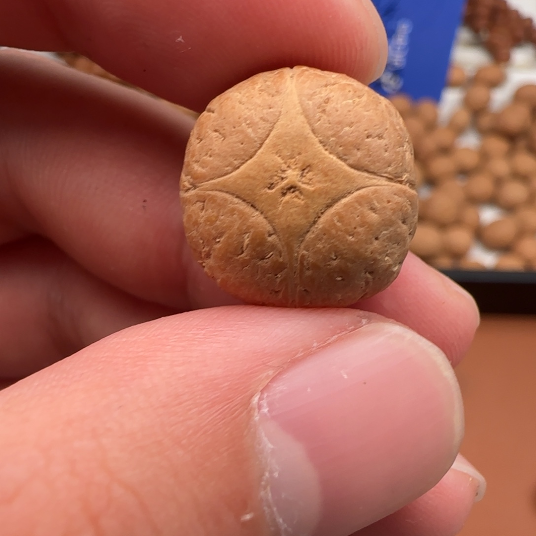 独***.凤眼菩提吊坠17➕精品麒麟