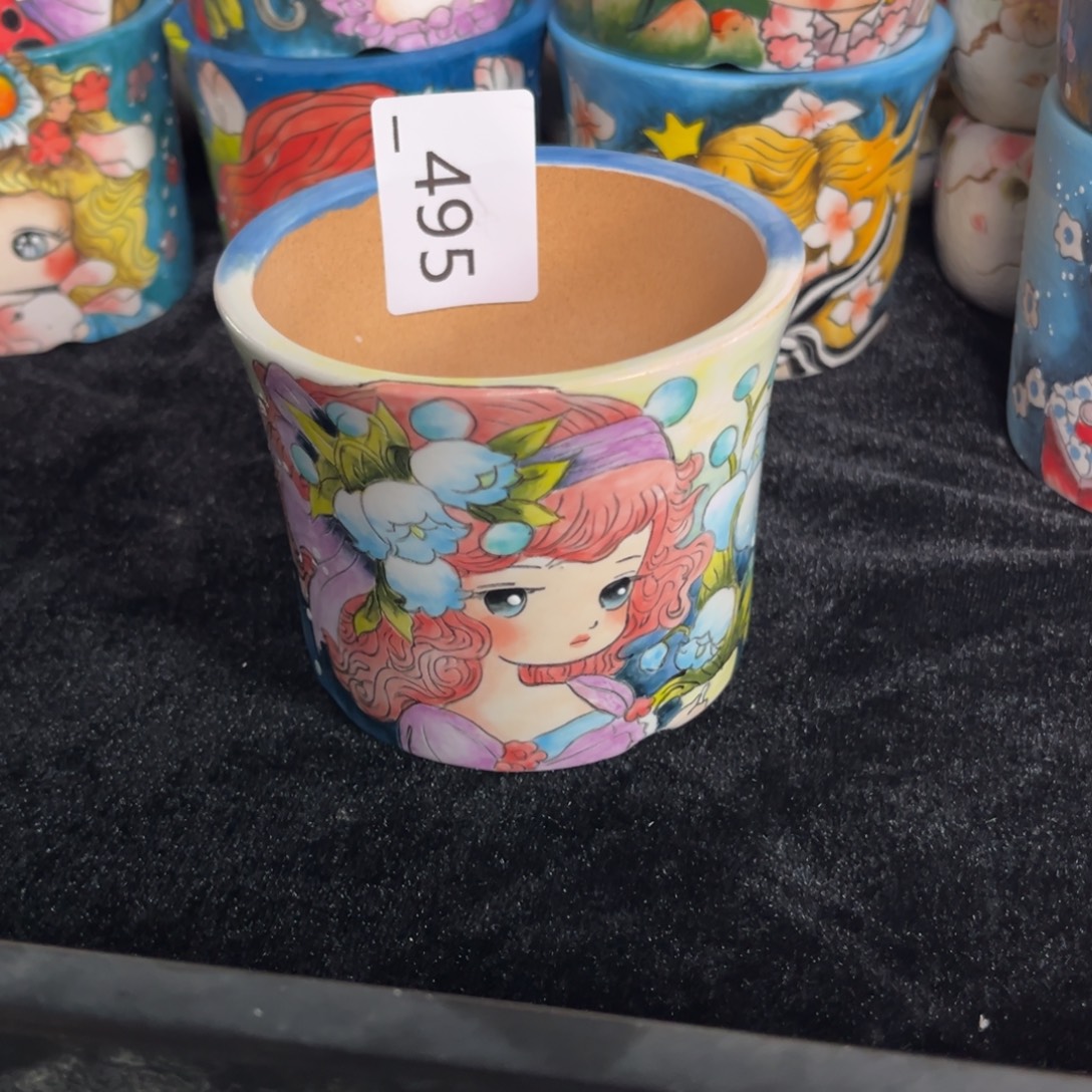 洪***儿495多肉花盆38元1个