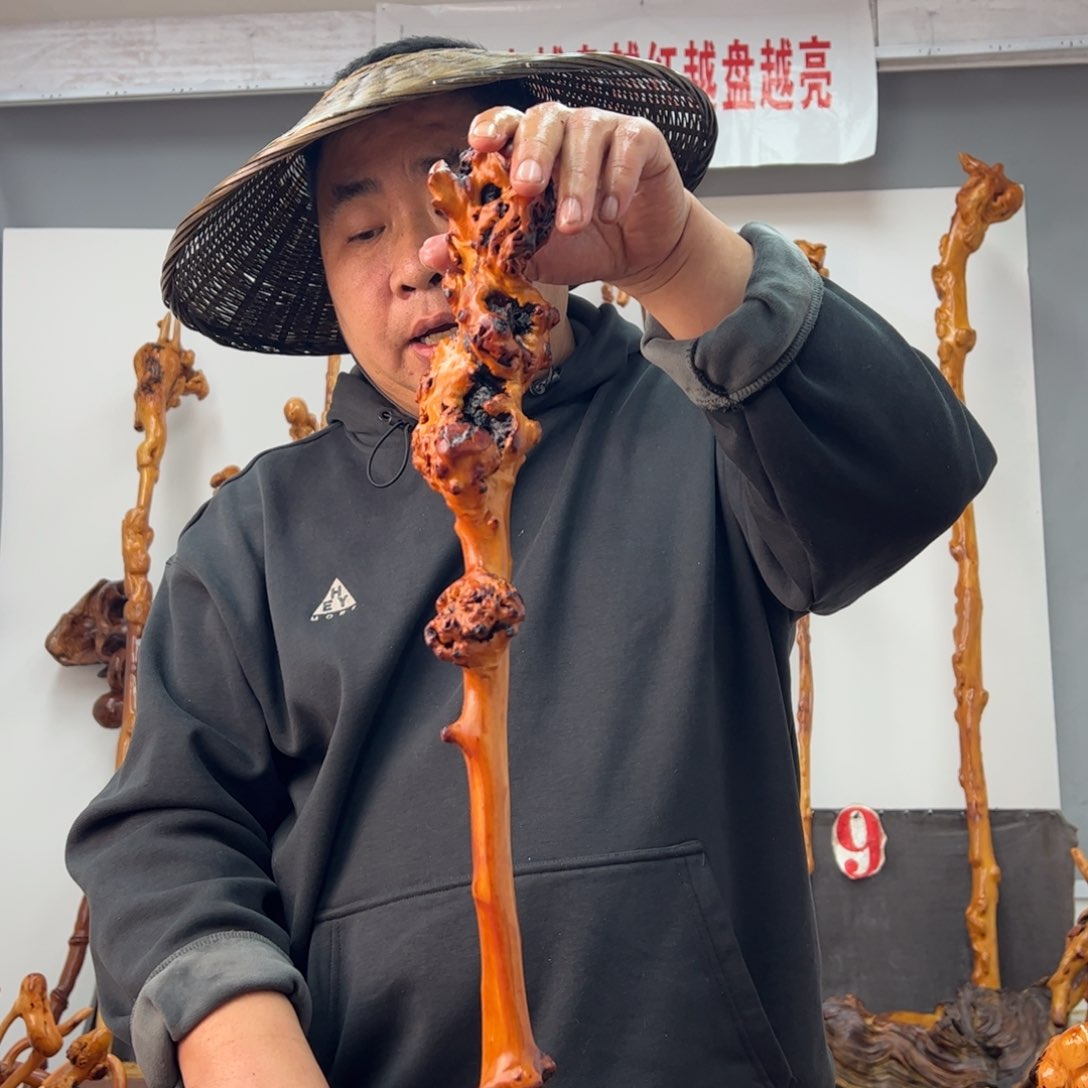 黑果木其他黑果木399