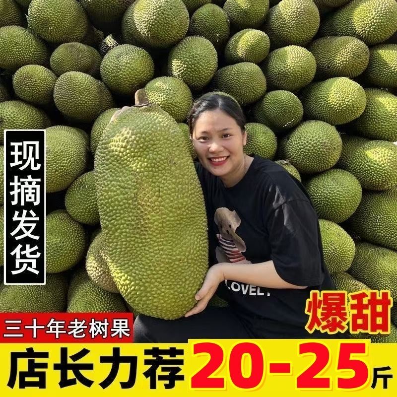 【挑果3】菠萝蜜海南正确剥法怎么剥开看熟没熟产地直发包邮一整个