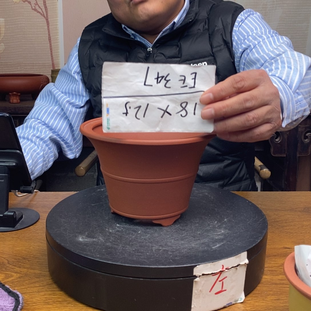 紫砂货号一只EE347