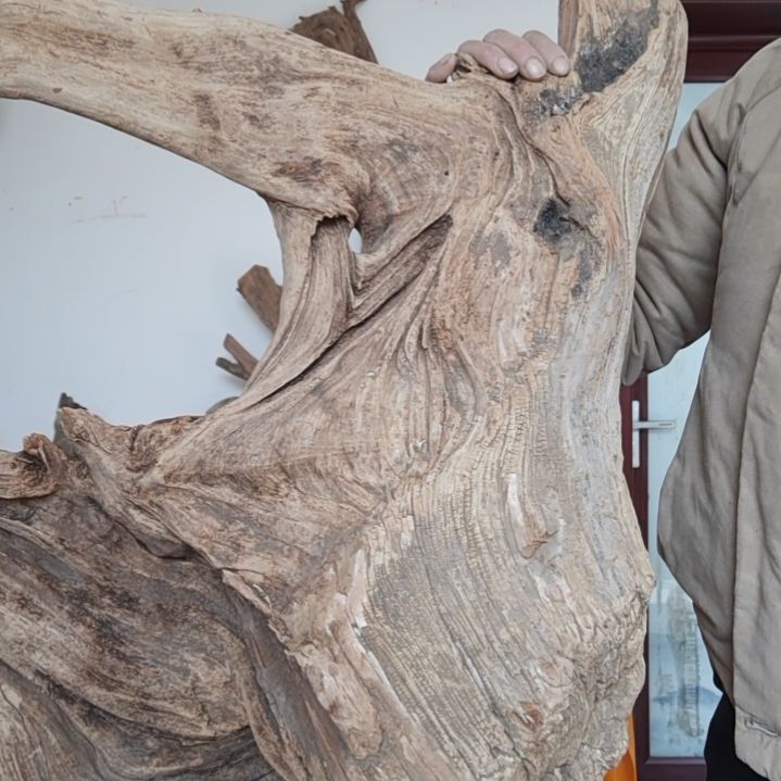 风车木（黑檀木）古**世