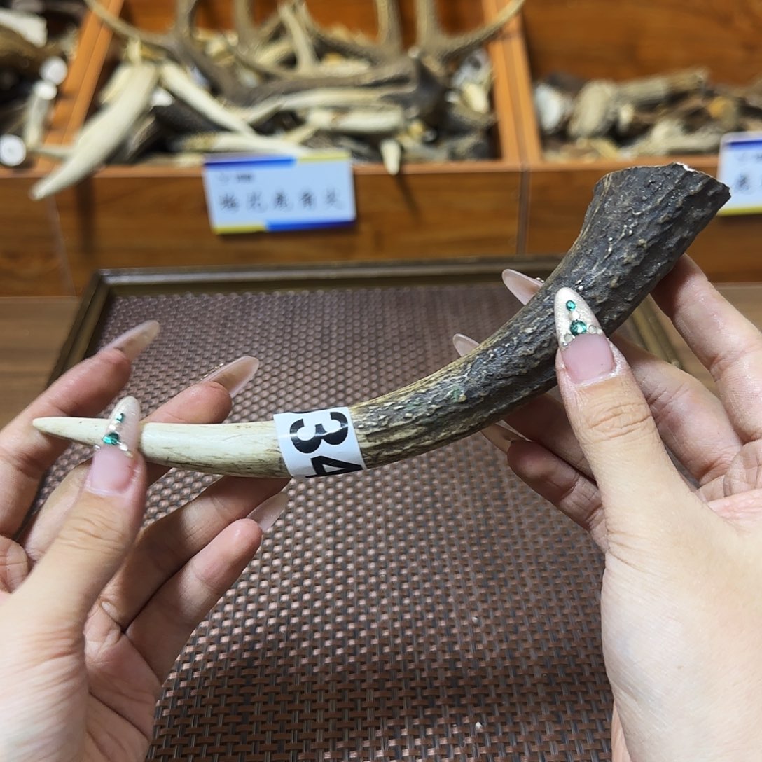 手串/手链鹿骨934梅花鹿角尖