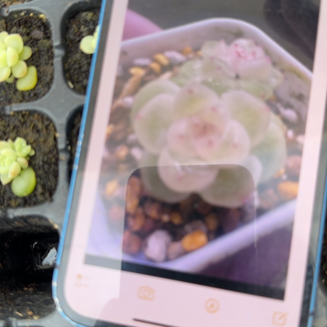 璟财富穴一个满25包邮