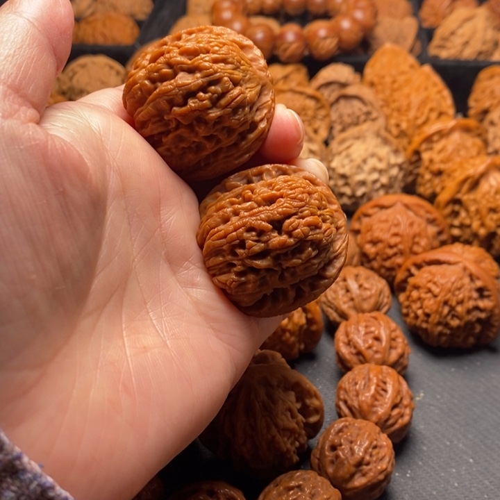 秦岭野生111111111