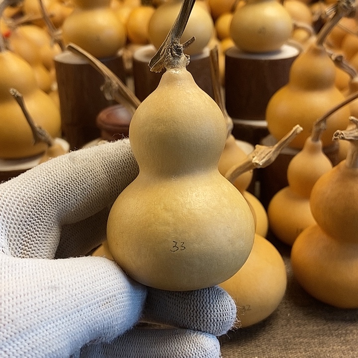 文玩葫芦 完美主义者 慎拍33