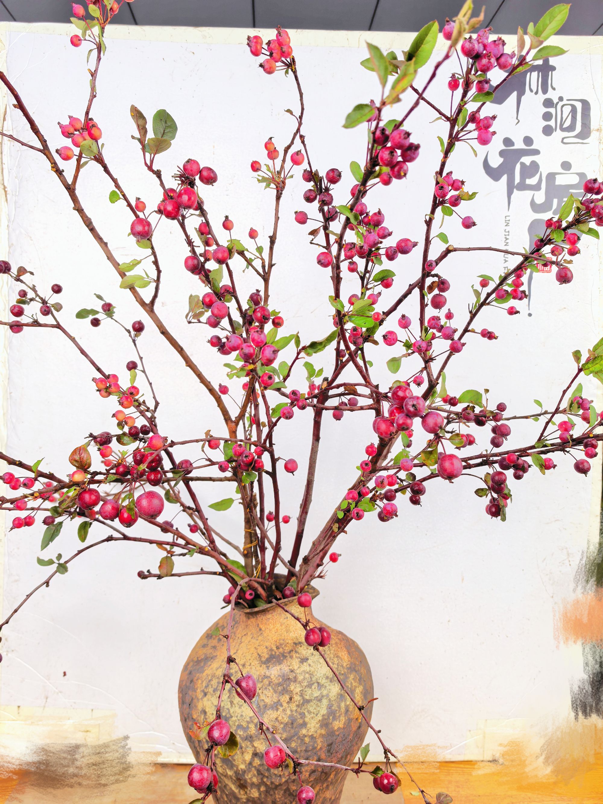 红妆海棠果自然感鲜切花材