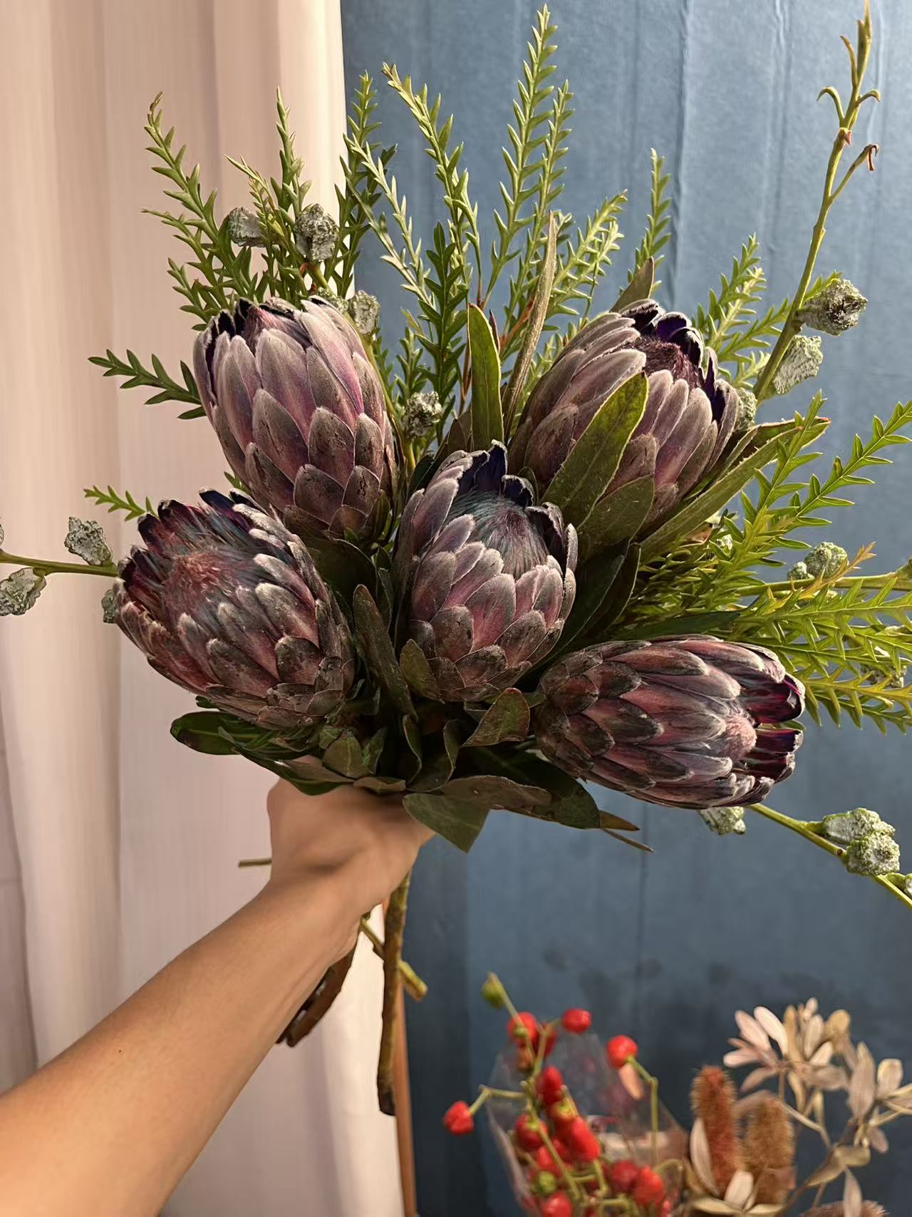 【南非五公主花束】粉冰公主兰斯洛特公主吸色花束做干花不变色