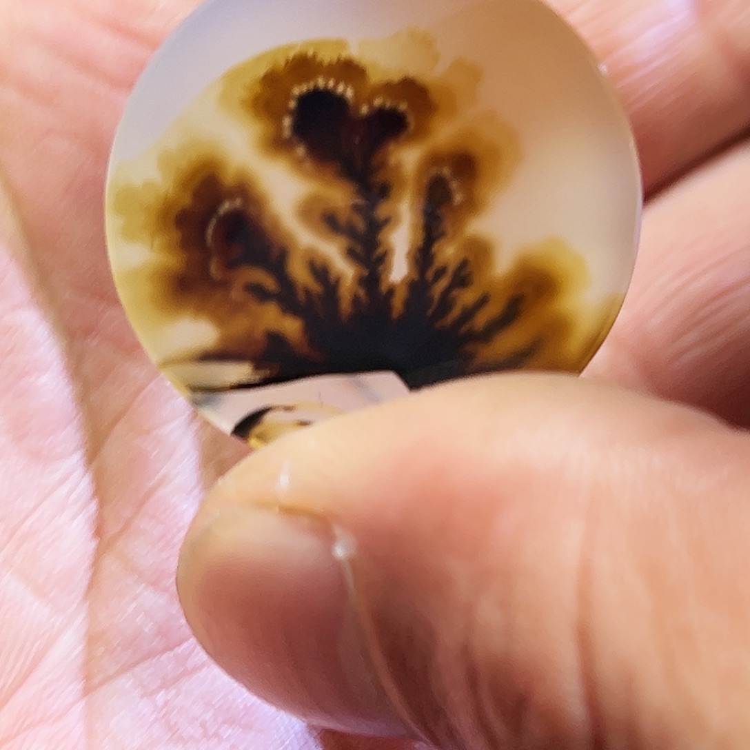 泽***玛瑙/玉髓未镶嵌珠宝半成品