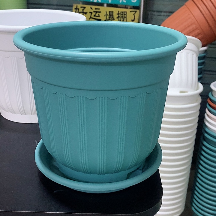 罗马口21蓝5个带托