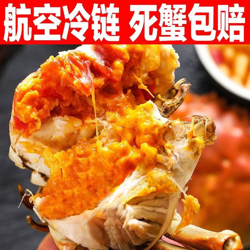 送礼【特大】鲜活盘锦稻田蟹全母蟹1.4-1.6两/只 18只左右 顺丰冷链