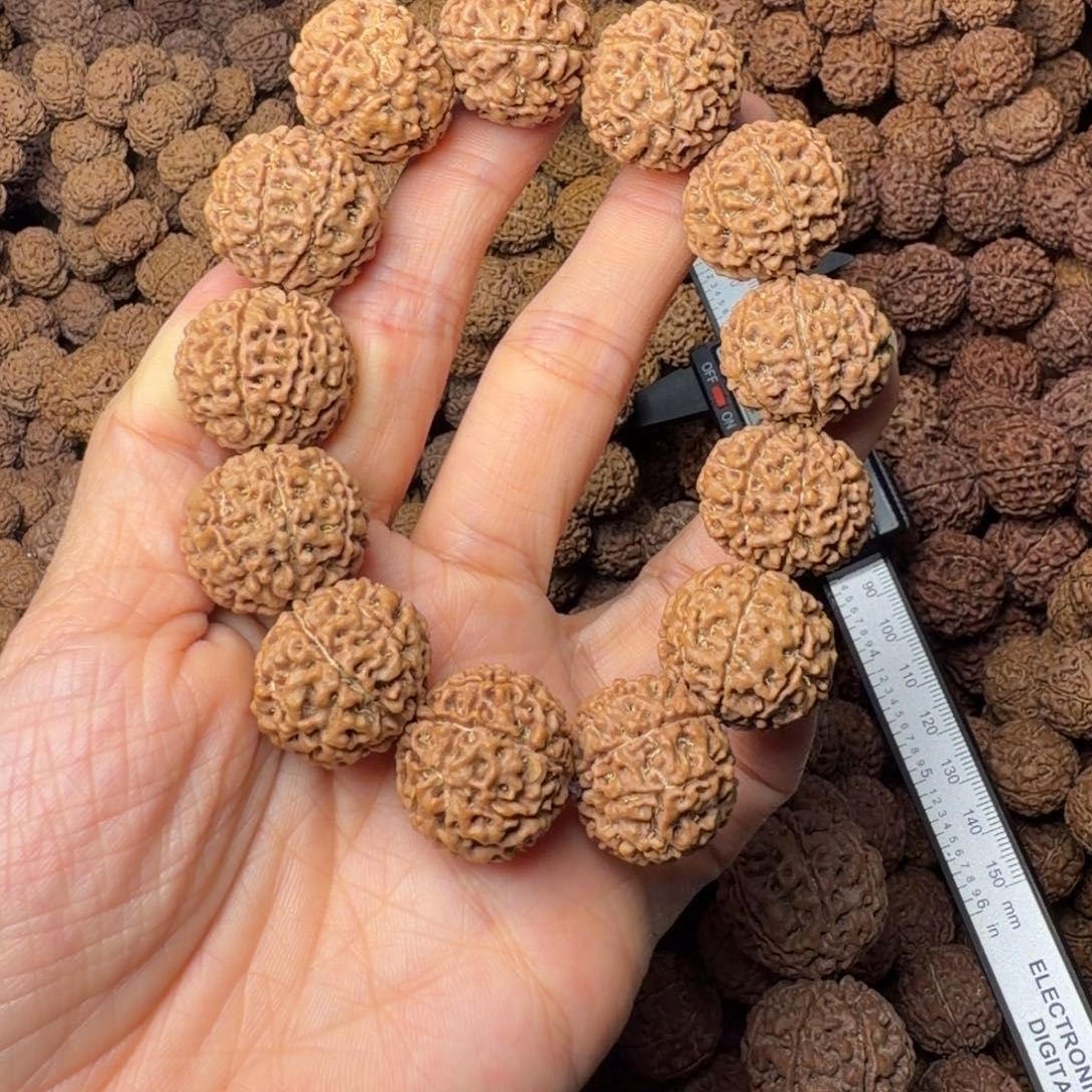 手串金刚菩提8瓣卡20尺，81号