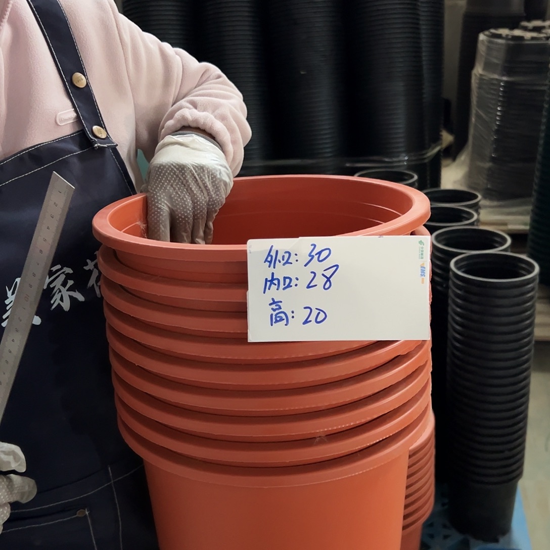 瑕疵矮胖5#红色10个无托