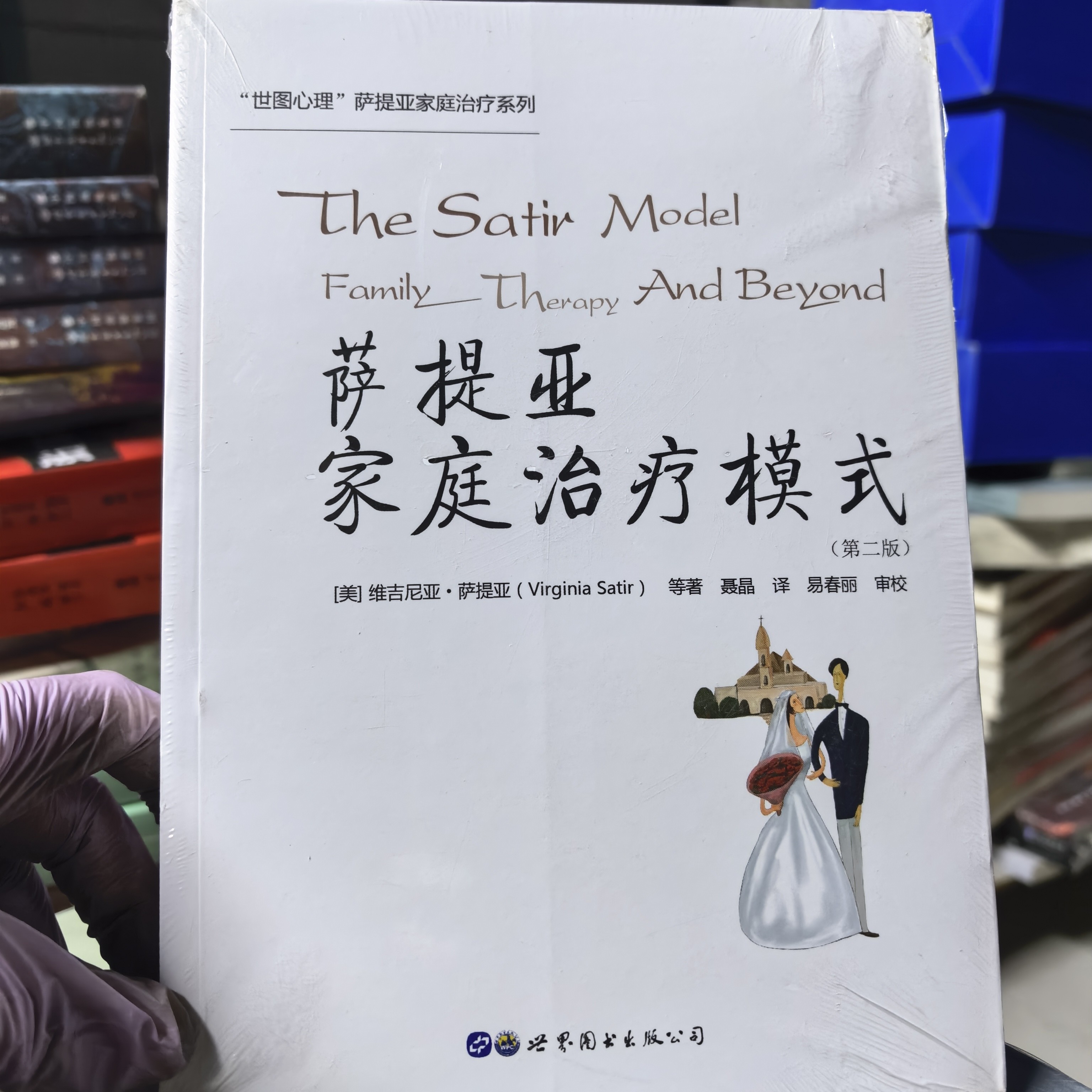 萨提亚家庭治疗模式书籍（第二版）平装微瑕博图馆推荐