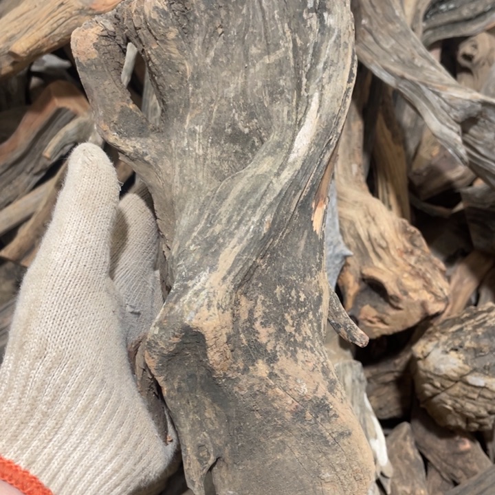 老*毛料毛料毛料毛料