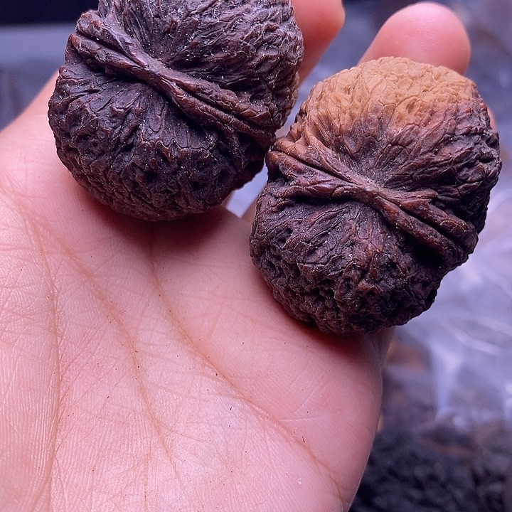 把件文玩核桃   101