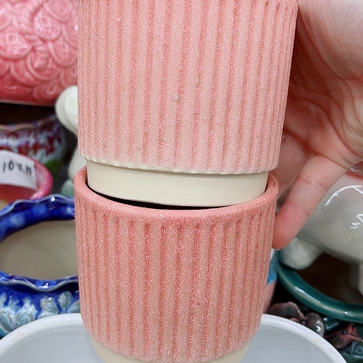 多肉植物陶瓷花盆