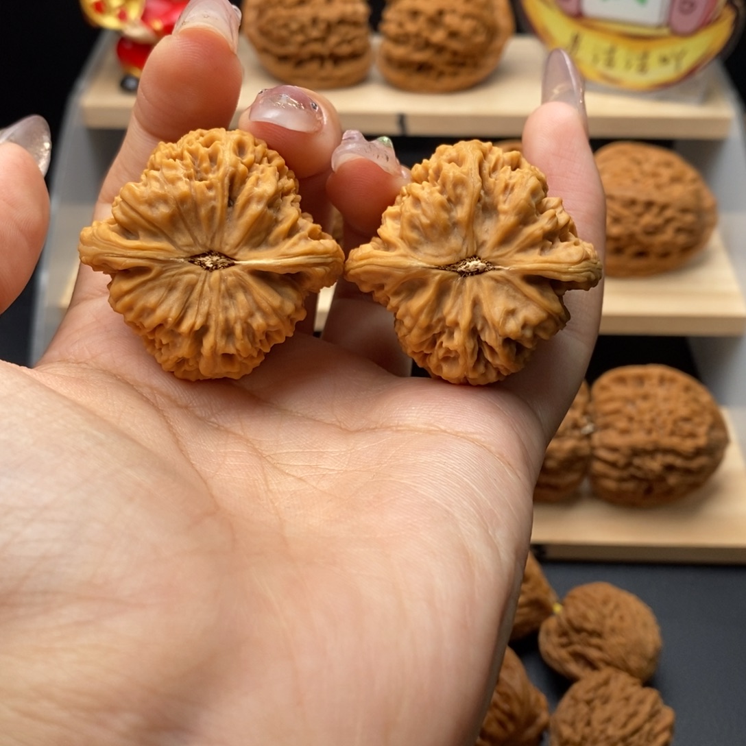 胖***儿40号39.37.39正高炮微凹底涿鹿老树一代全品