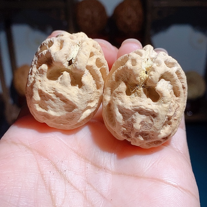 野生鬼脸乾坤核桃