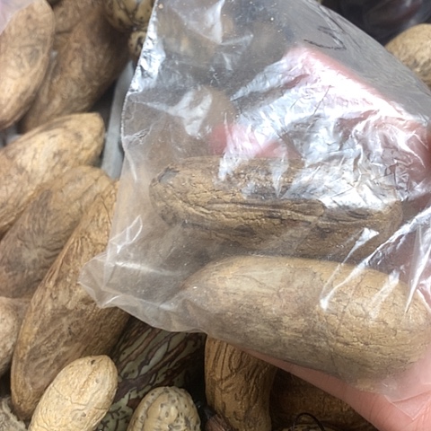 椰蒂吊坠千眼菩提原子