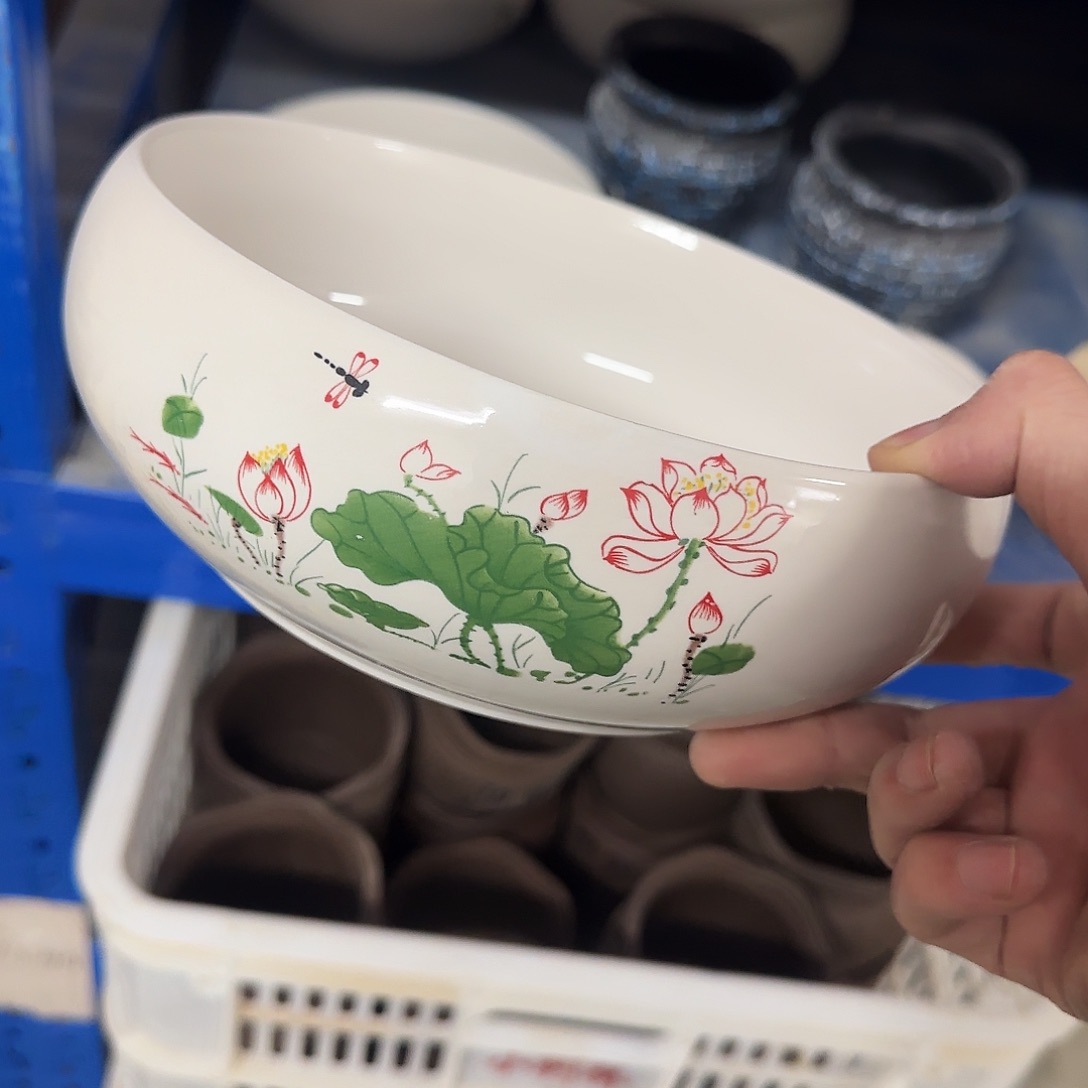 福利局绿植多肉盆［凑9元包邮24小时发］1049