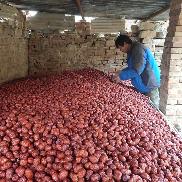 陕北红枣佳县油枣滩枣榆林大枣吊干自然原枣天然风干大红枣5斤装