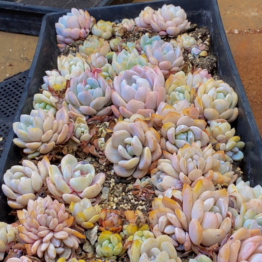 605的人和事都会有很多