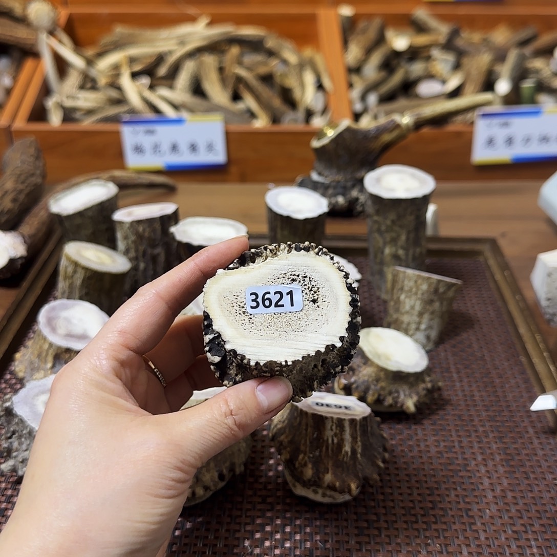 鹿骨手串/手链3621梅花鹿角帽