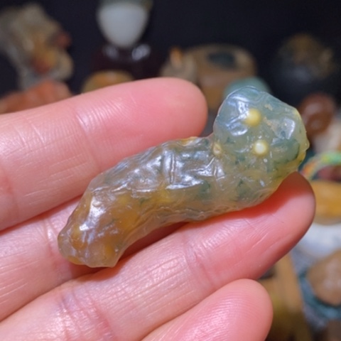 地表筋脉石 虫子
