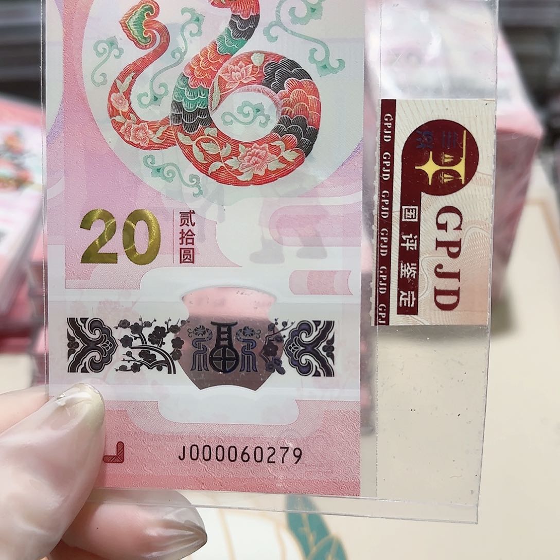 塑料000060279。。。。。。。5龙珠大司令