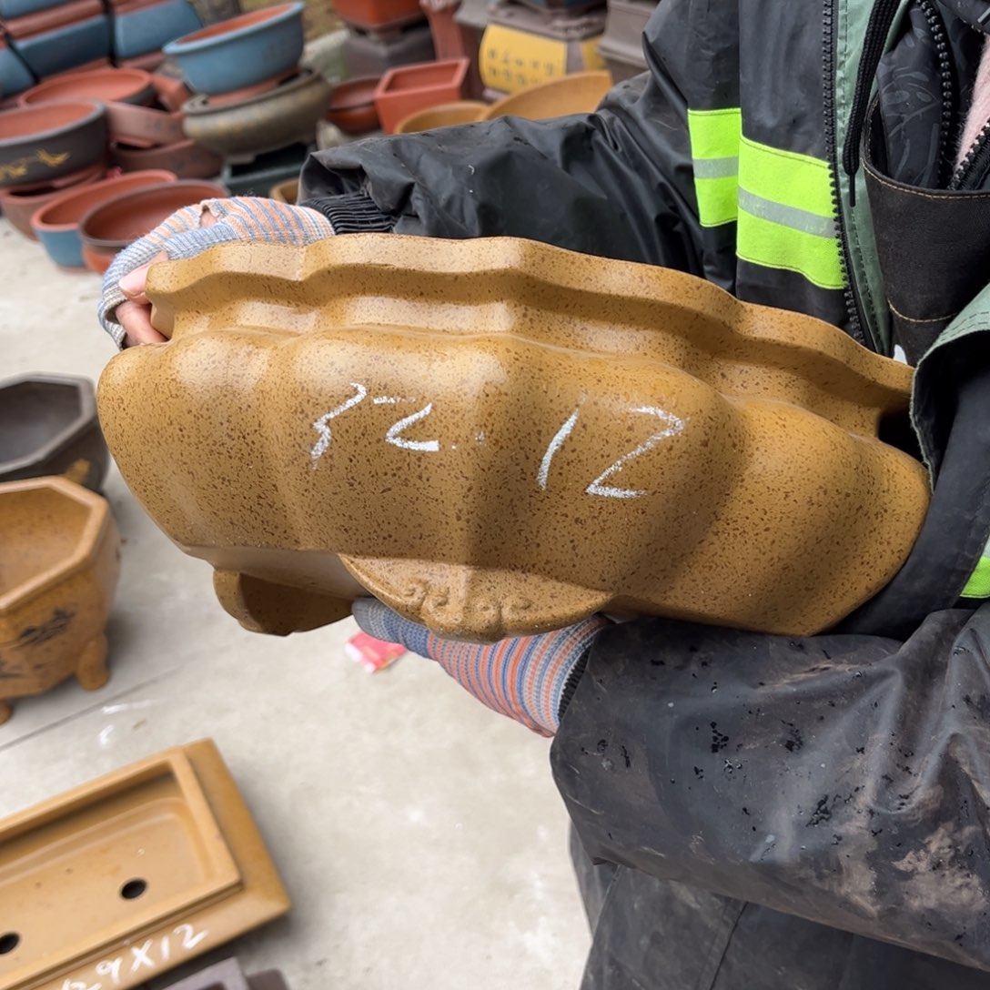 紫砂花盆盆景艺术