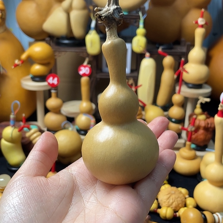 C***.葫芦丝和音乐也可以是