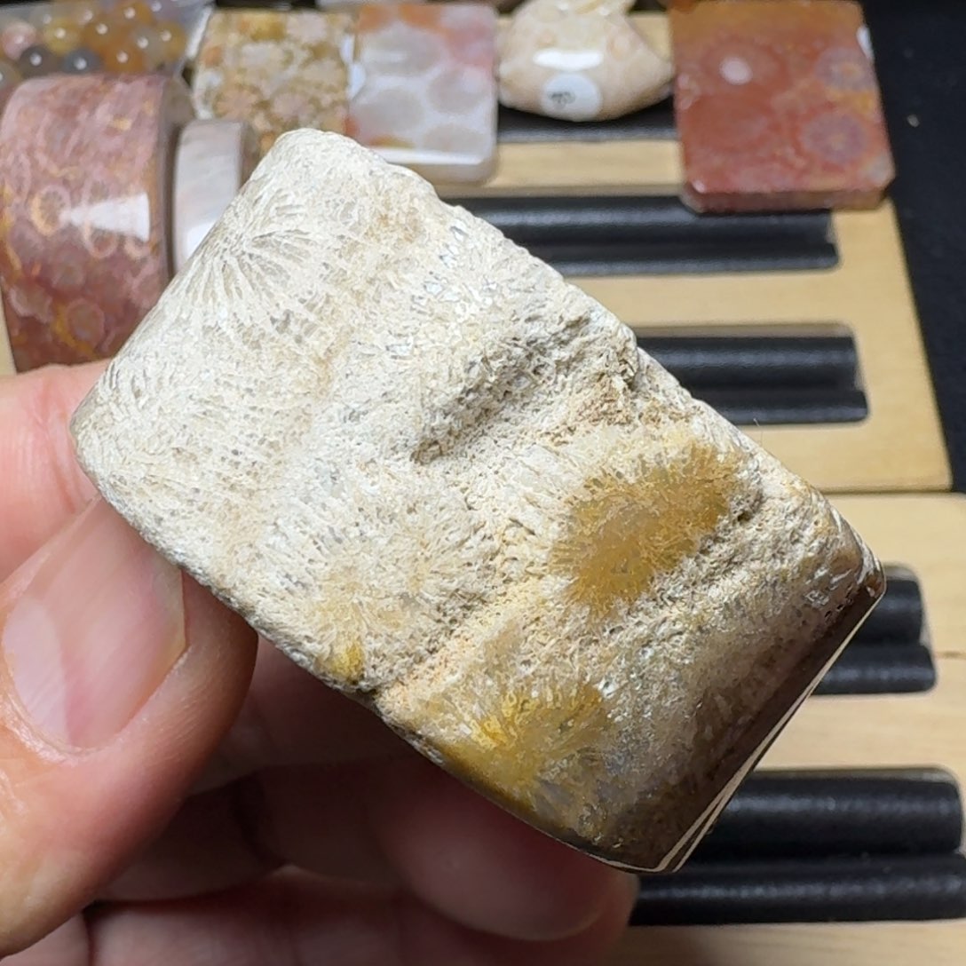 硅化玉纯天然色有机玉石手镯芯未镶嵌