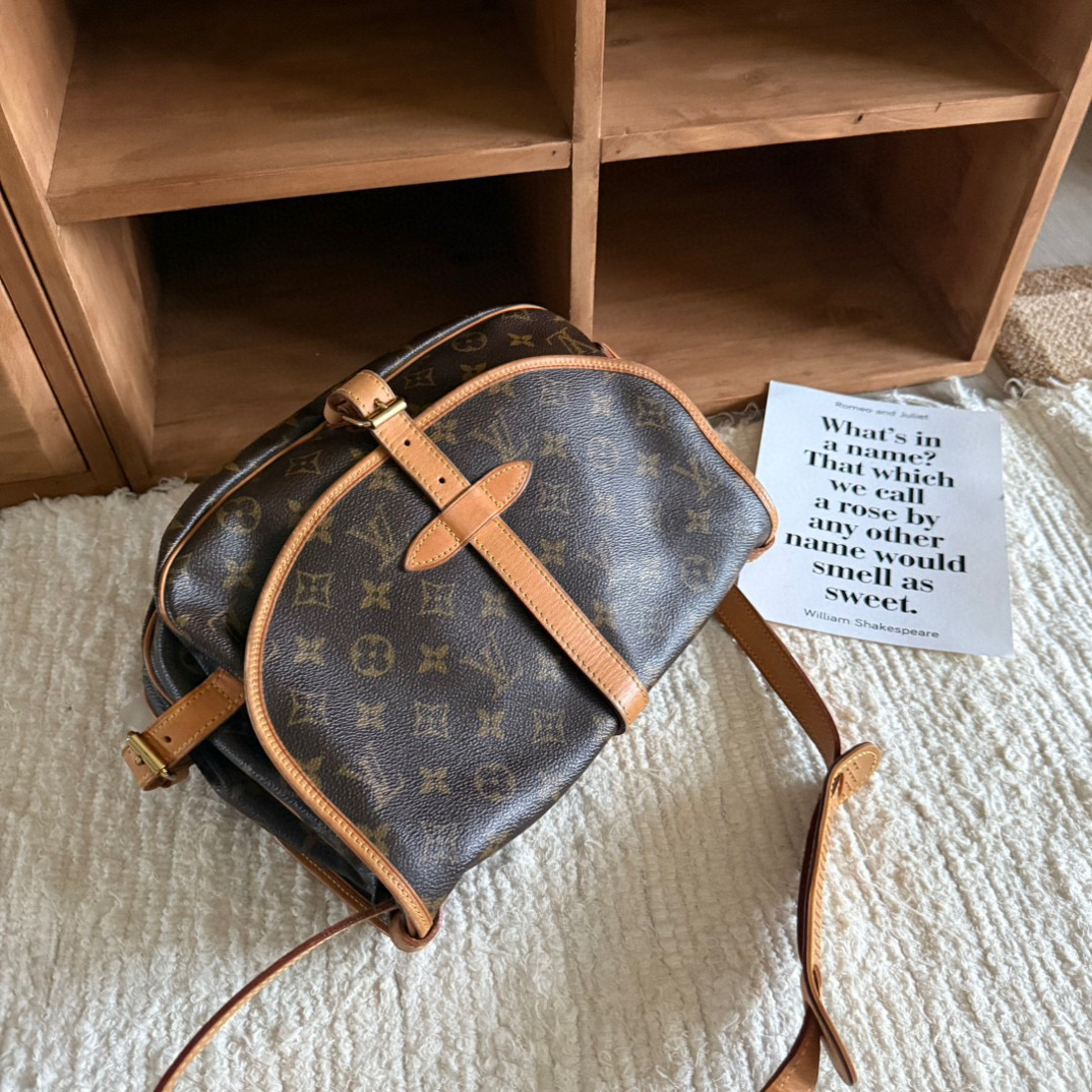 95新 LouisVuitton/路易威登 小号双子星斜挎单肩大包QX-16039127