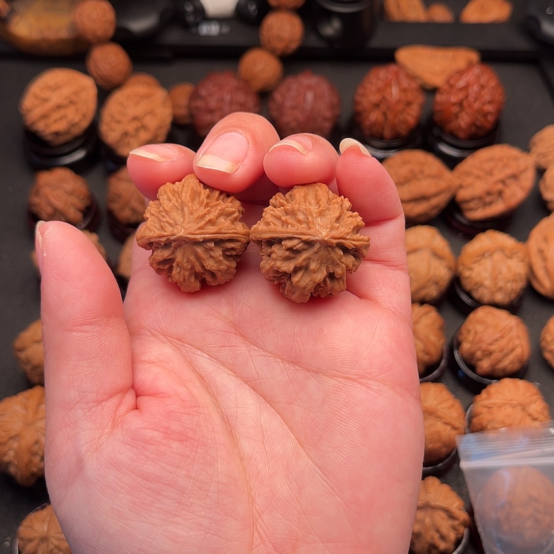 异***客文玩核桃把件珊瑚王z