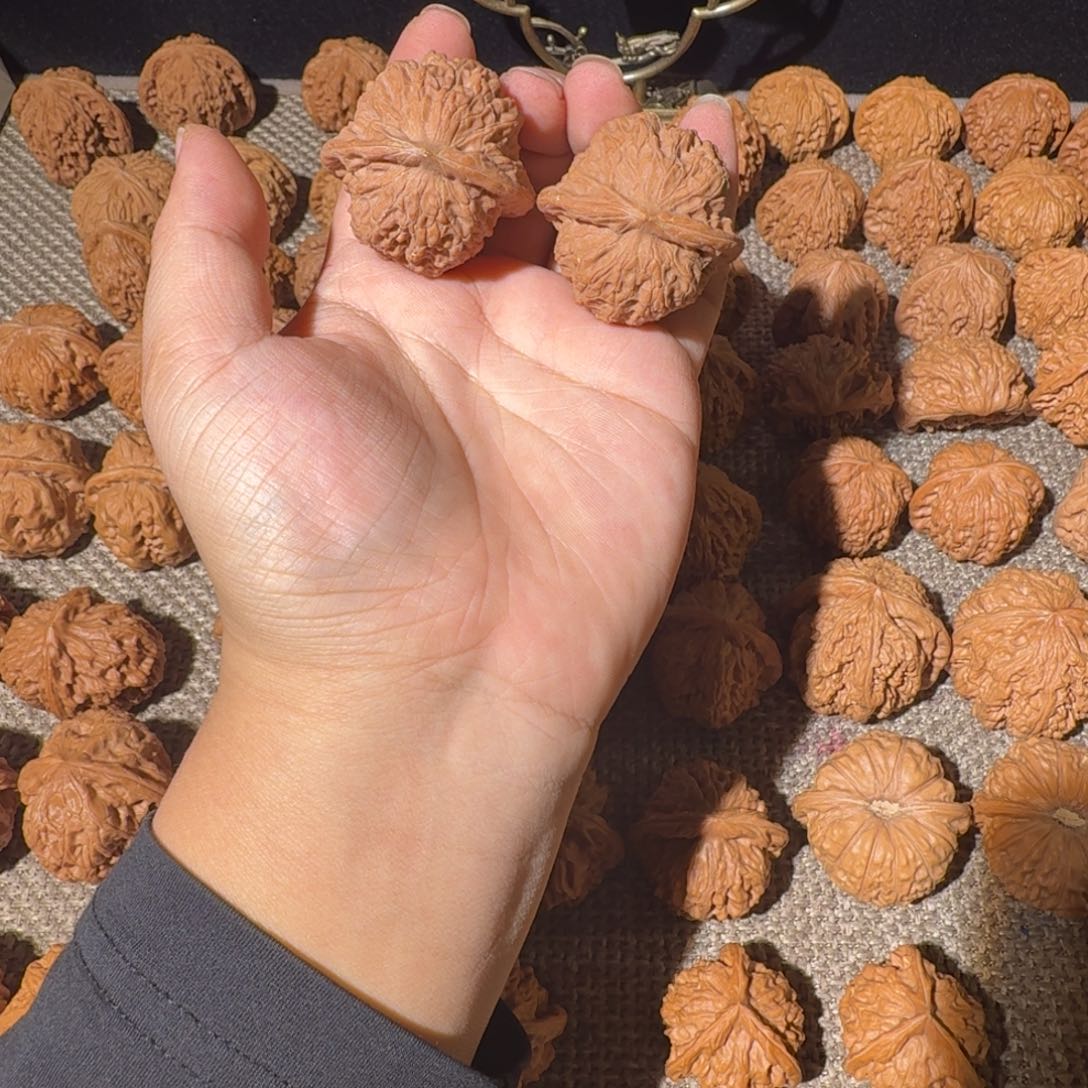 非洲紫檀（红花梨）把件血麒麟