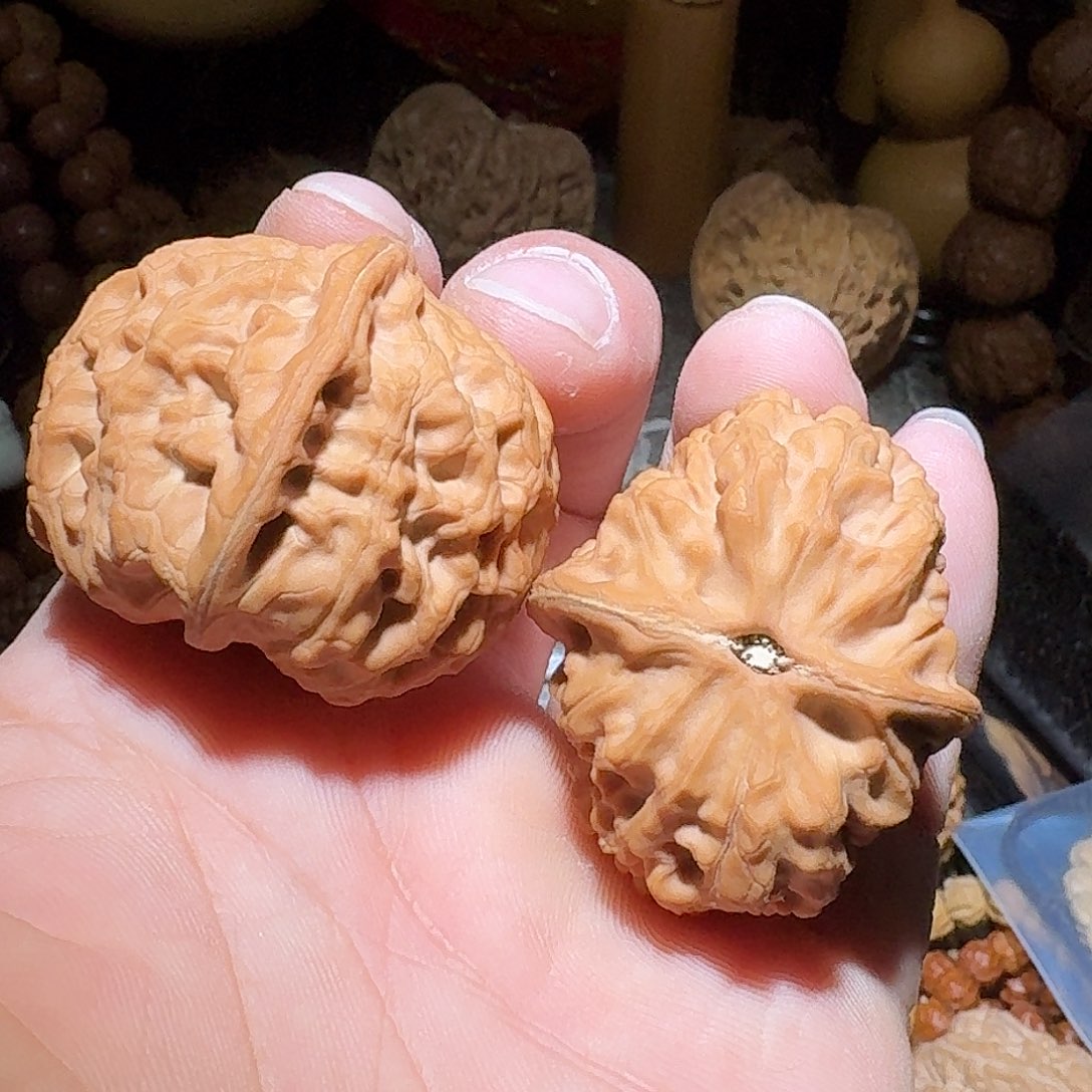 核桃41尺有微修尖延庆元宝