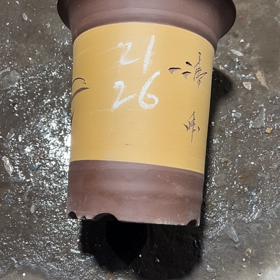 紫砂工艺厂……紫砂工艺厂……