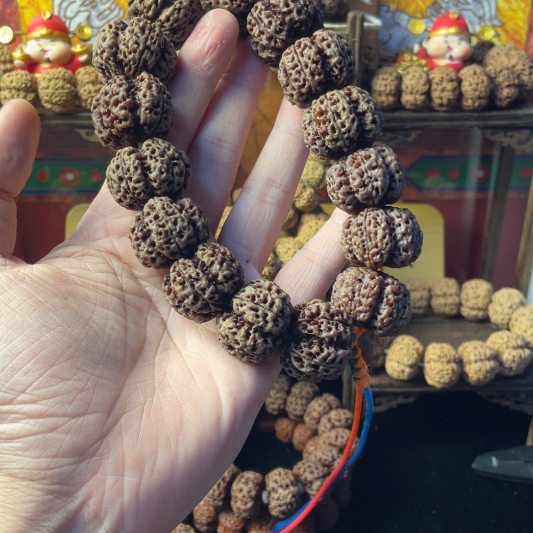 青***沐手串金刚菩提梅花