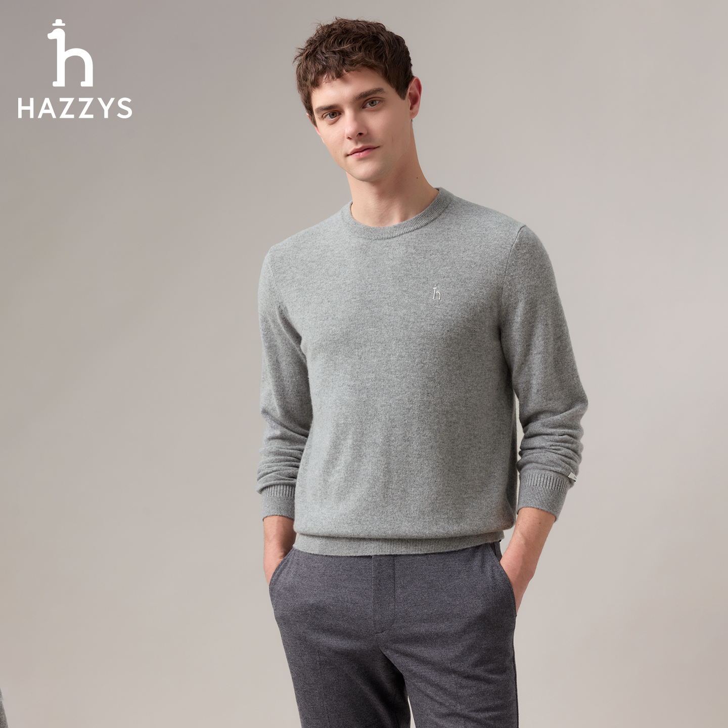 【商场同款】HAZZYS哈吉斯男士秋冬季毛衣休闲羊绒衫圆领套头针织衫