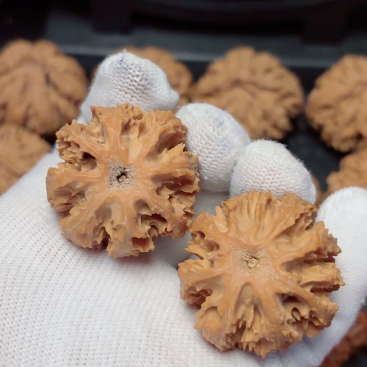 巨***森吊坠文玩核桃秦岭灯笼17