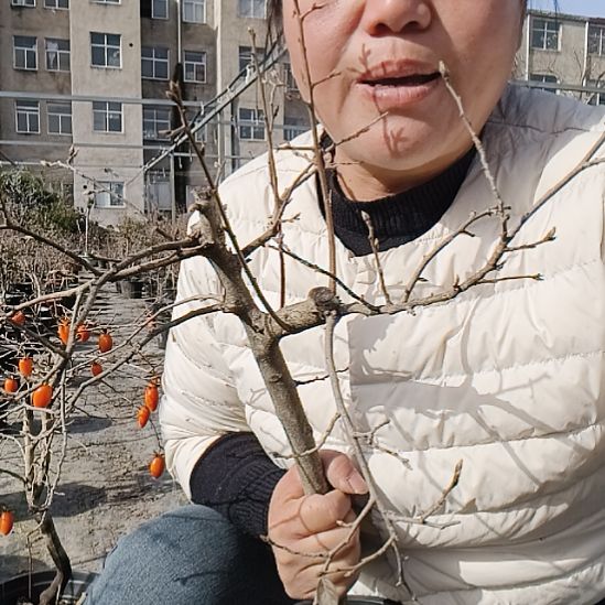 我***翔无花朵125556666656