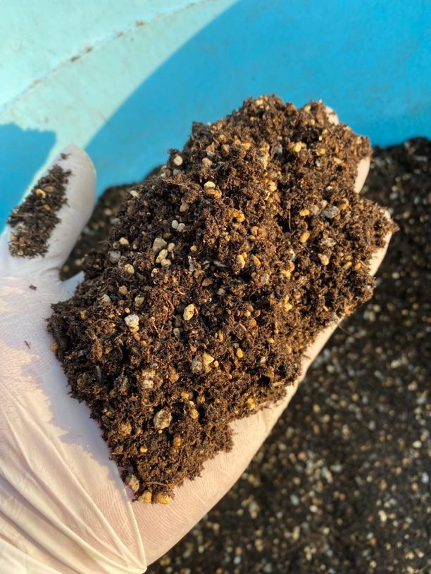 慎购 主播自用番杏种植土 两包四个七方盆 不多 慎购 慎购